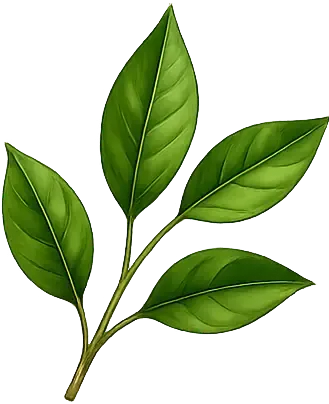 Natural herbal leaf decoration